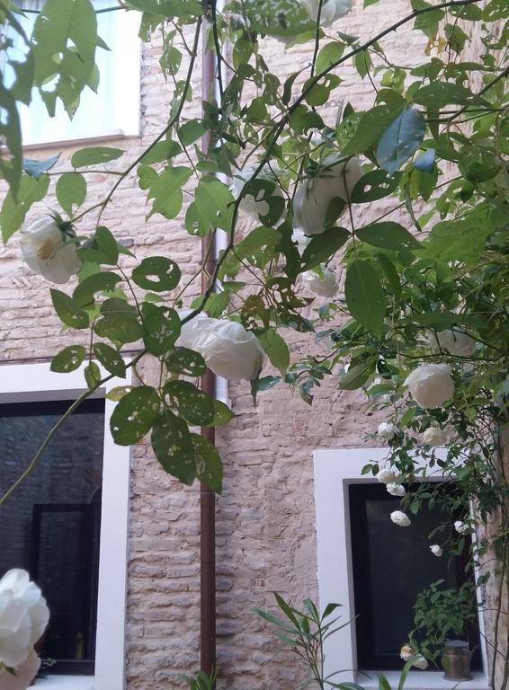 Bed & Breakfast Toscanini Ravenna